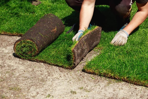 Images Preferred Sod