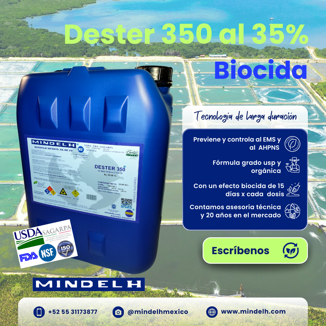 Images MINDELH MÉXICO