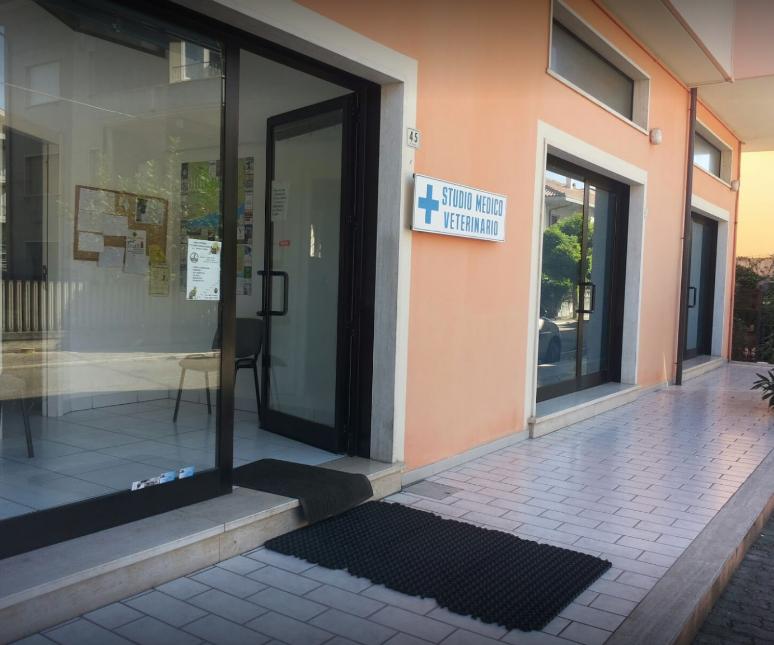 Images Ambulatorio Veterinario Rosini Dott. Emidio