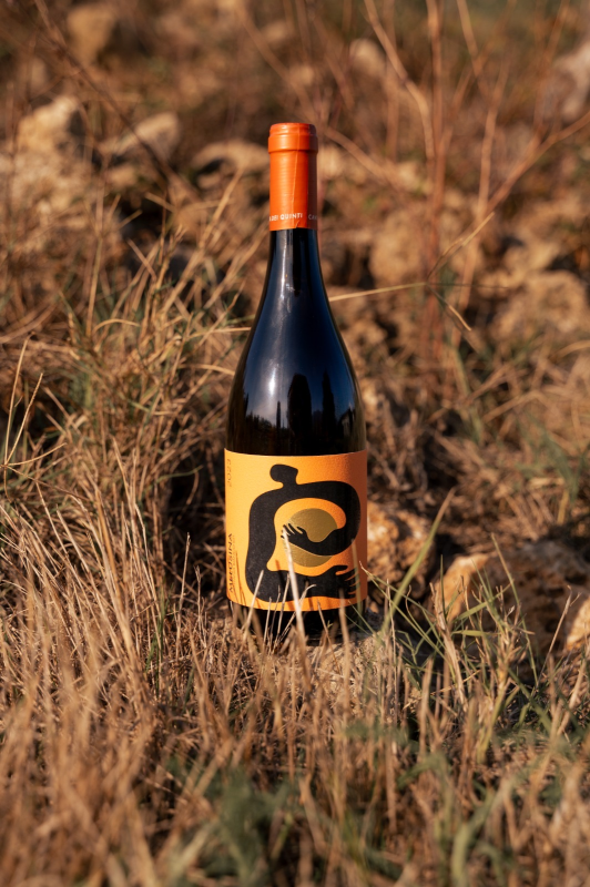 Images Cantina dei Quinti