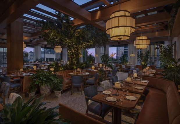 Images LAVO Los Angeles