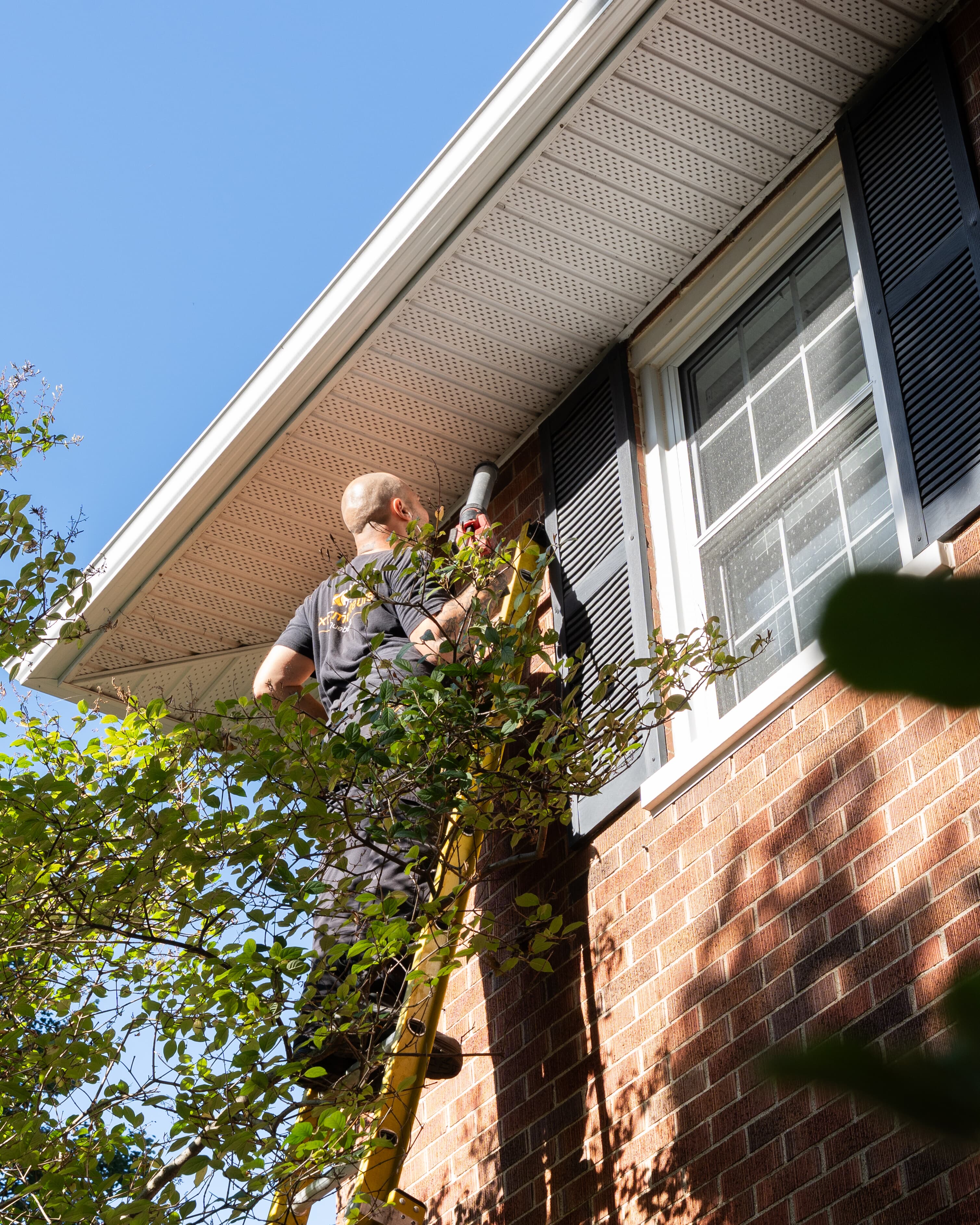 Images Exterminateurs Québec