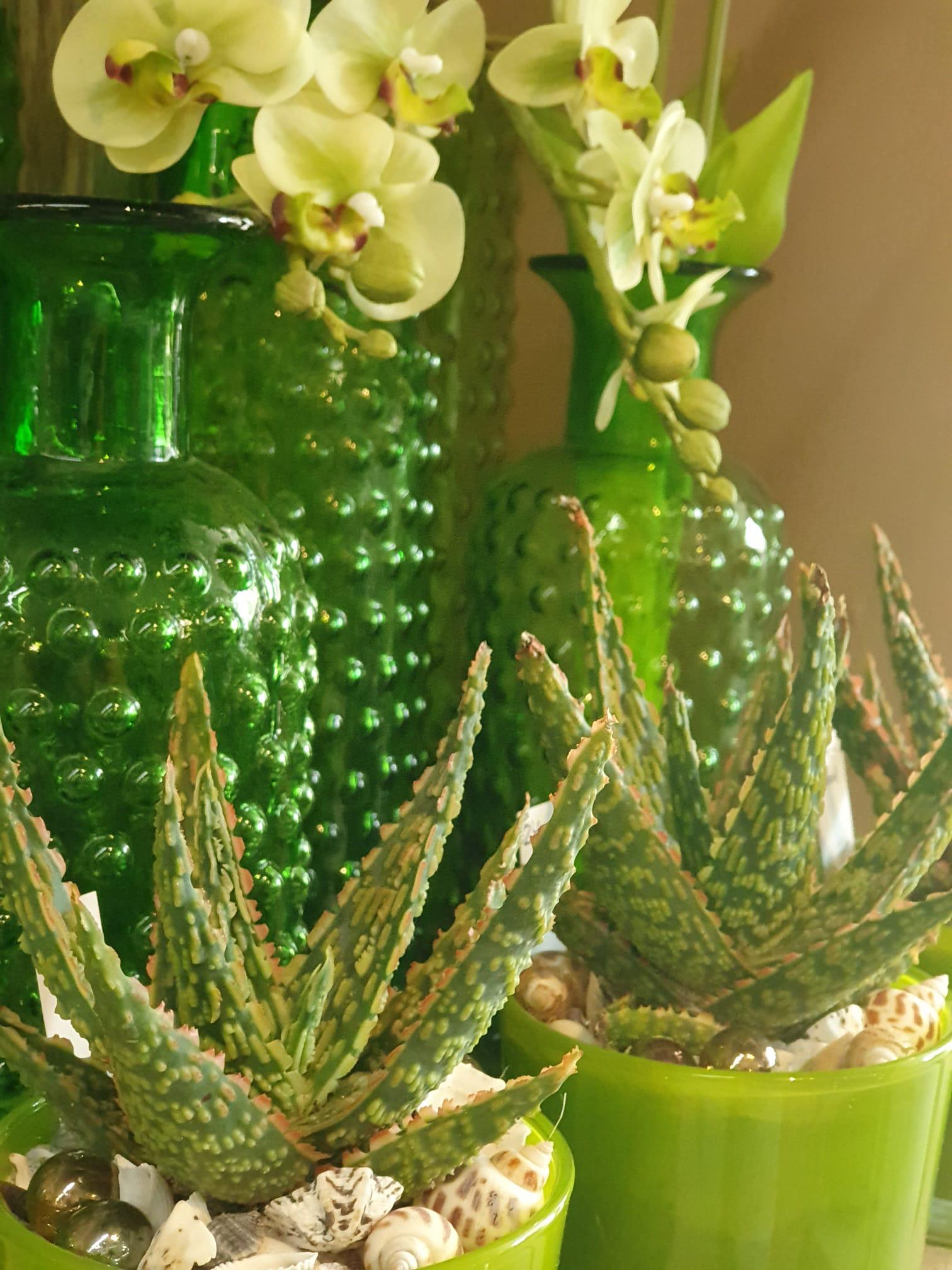 Bluemeträff Martin von Bergen GmbH, Wildenstrasse 14 in Neuhausen am Rheinfall