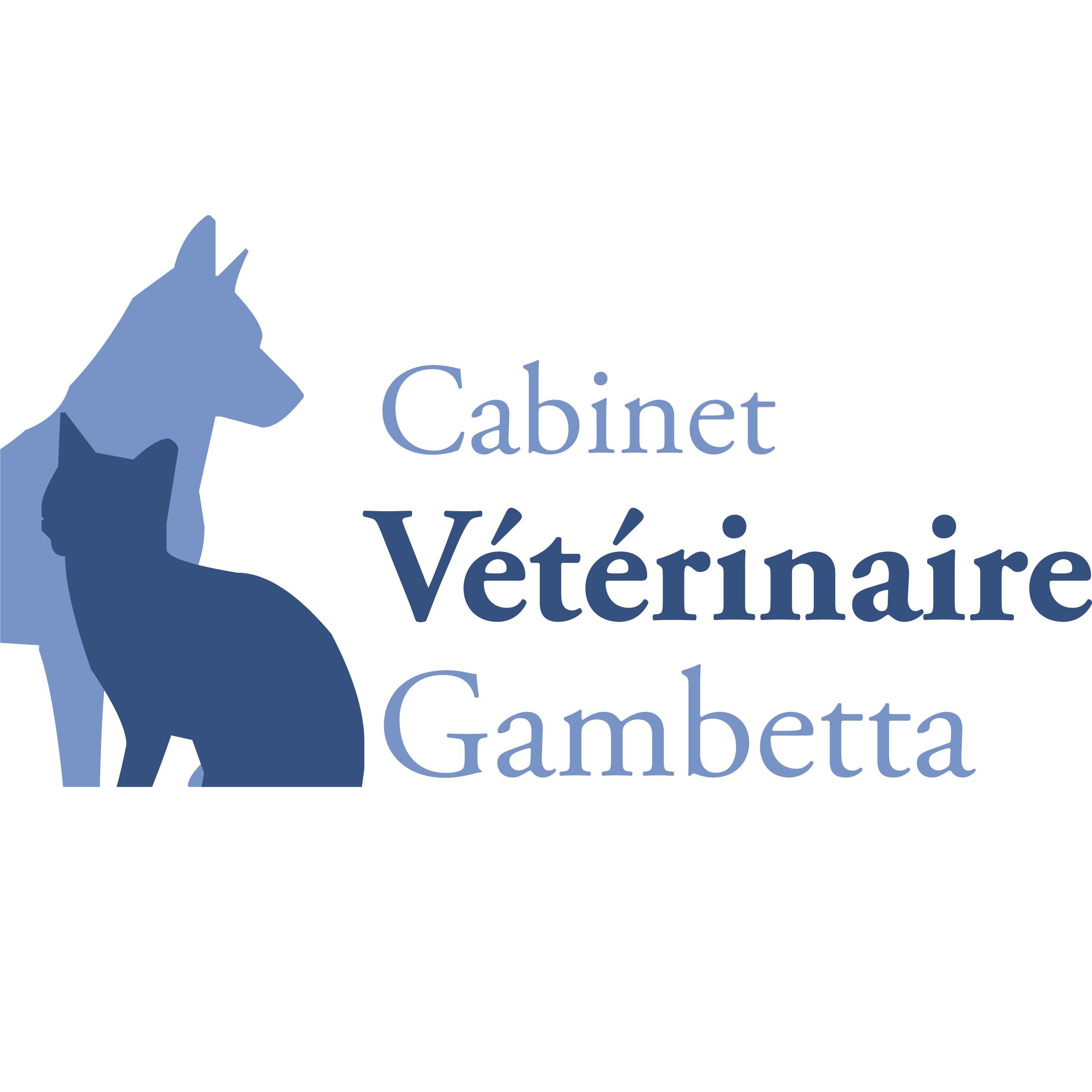 Cabinet Vétérinaire Gambetta Logo