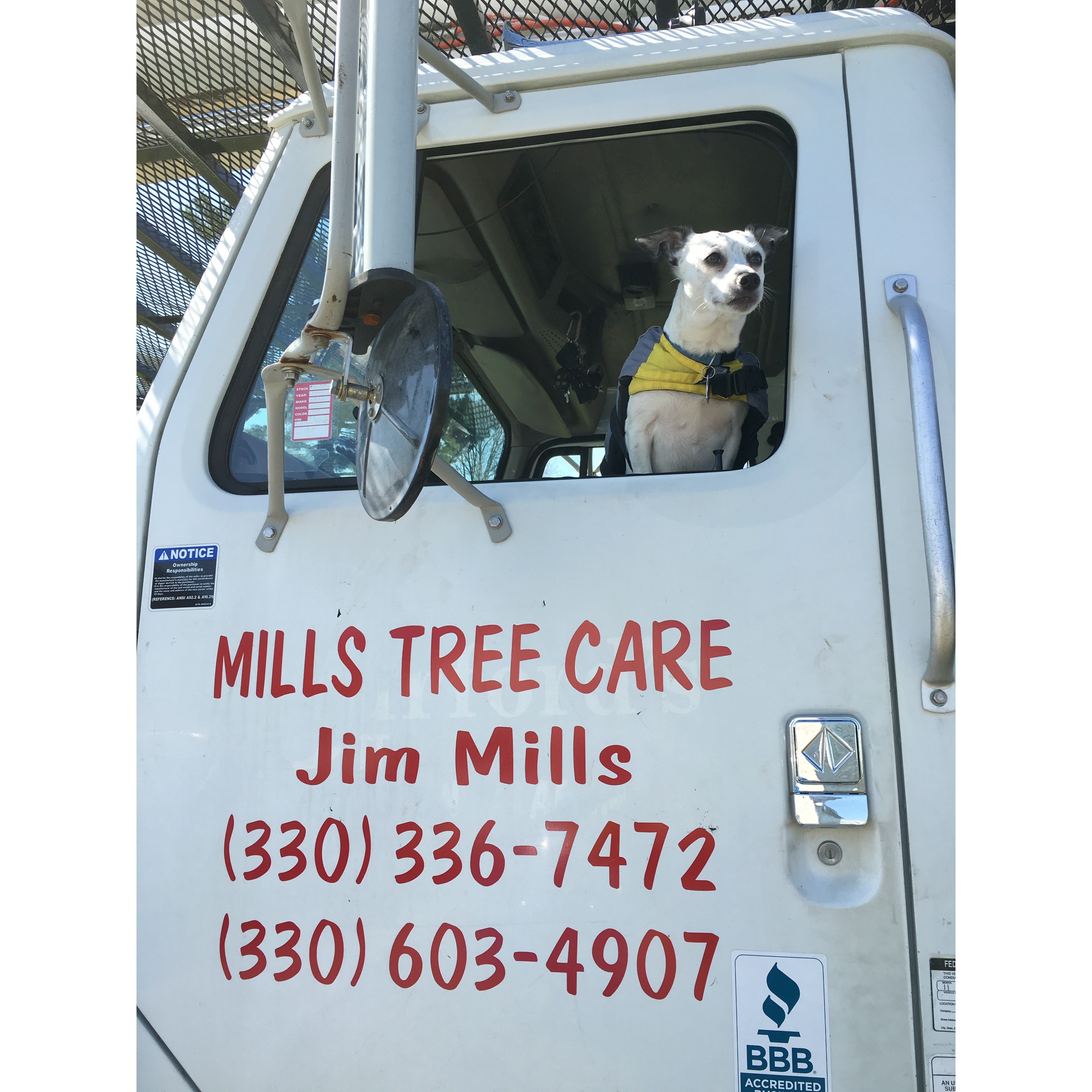 Mills Tree Care LLC