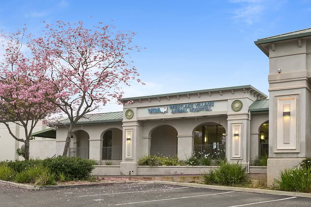Images VCA Westlake Village Animal Hospital