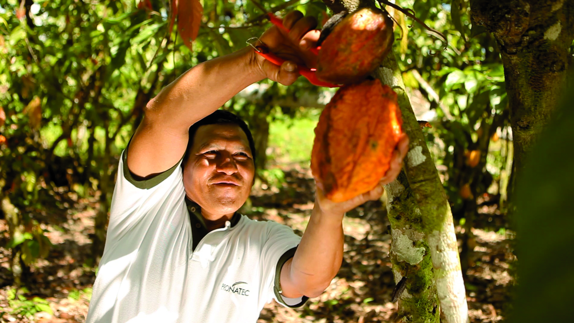 Maestrani Schweizer Schokoladen AG, Toggenburgerstrasse 41 in Flawil
