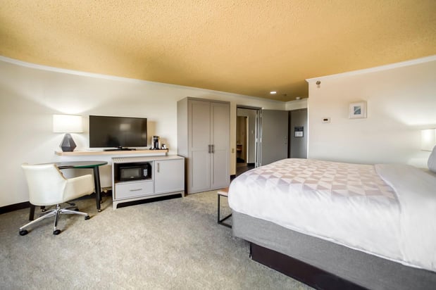 Images Holiday Inn Mobile-Dwtn/Hist. District by IHG