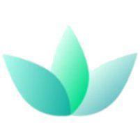 Matsuda Dermatology Logo