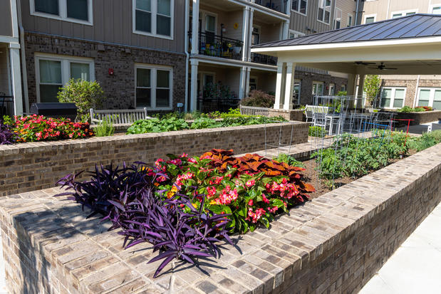 Images The Legacy At Walton Heights (55+)