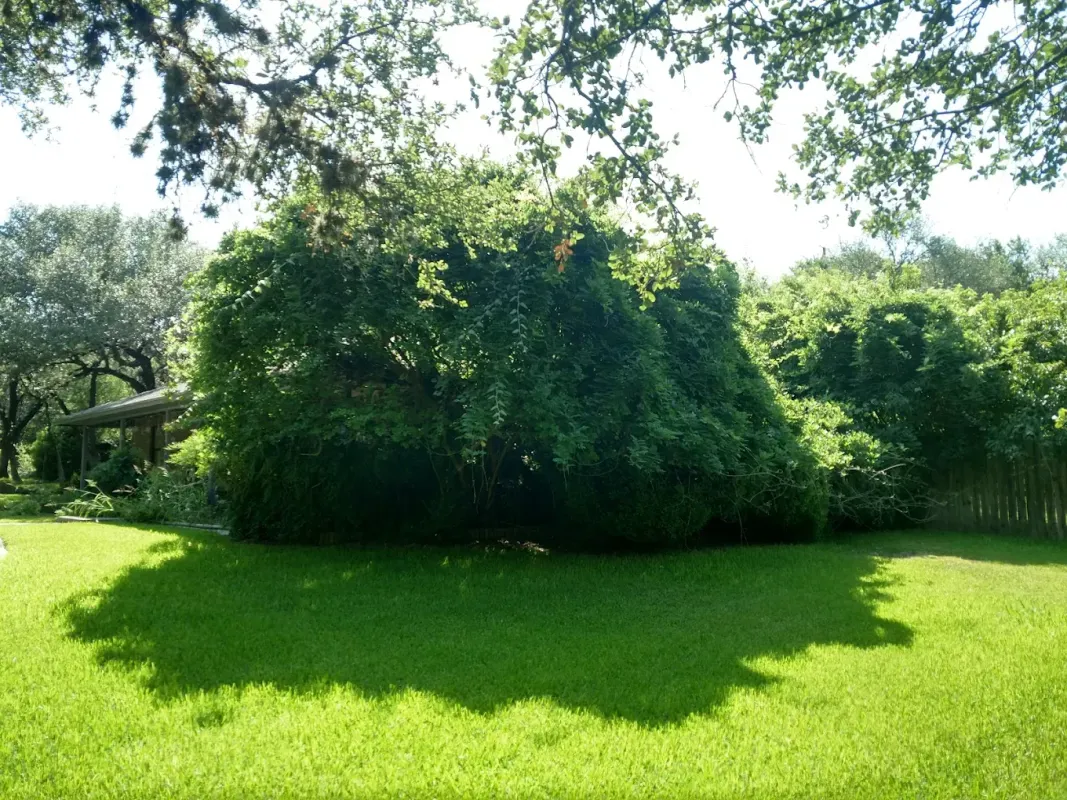 Tru Cut Landscapes Image