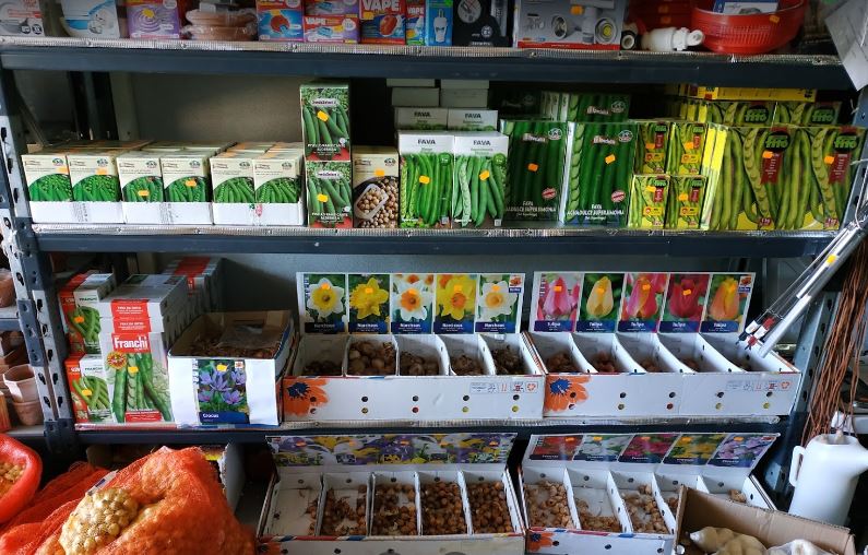 Images Porcu Antonio Angelo