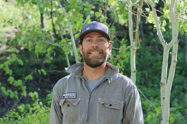 Images Alpine Forestry