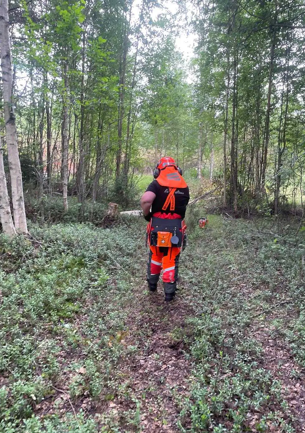 Images Konepalvelu Lukka Oy