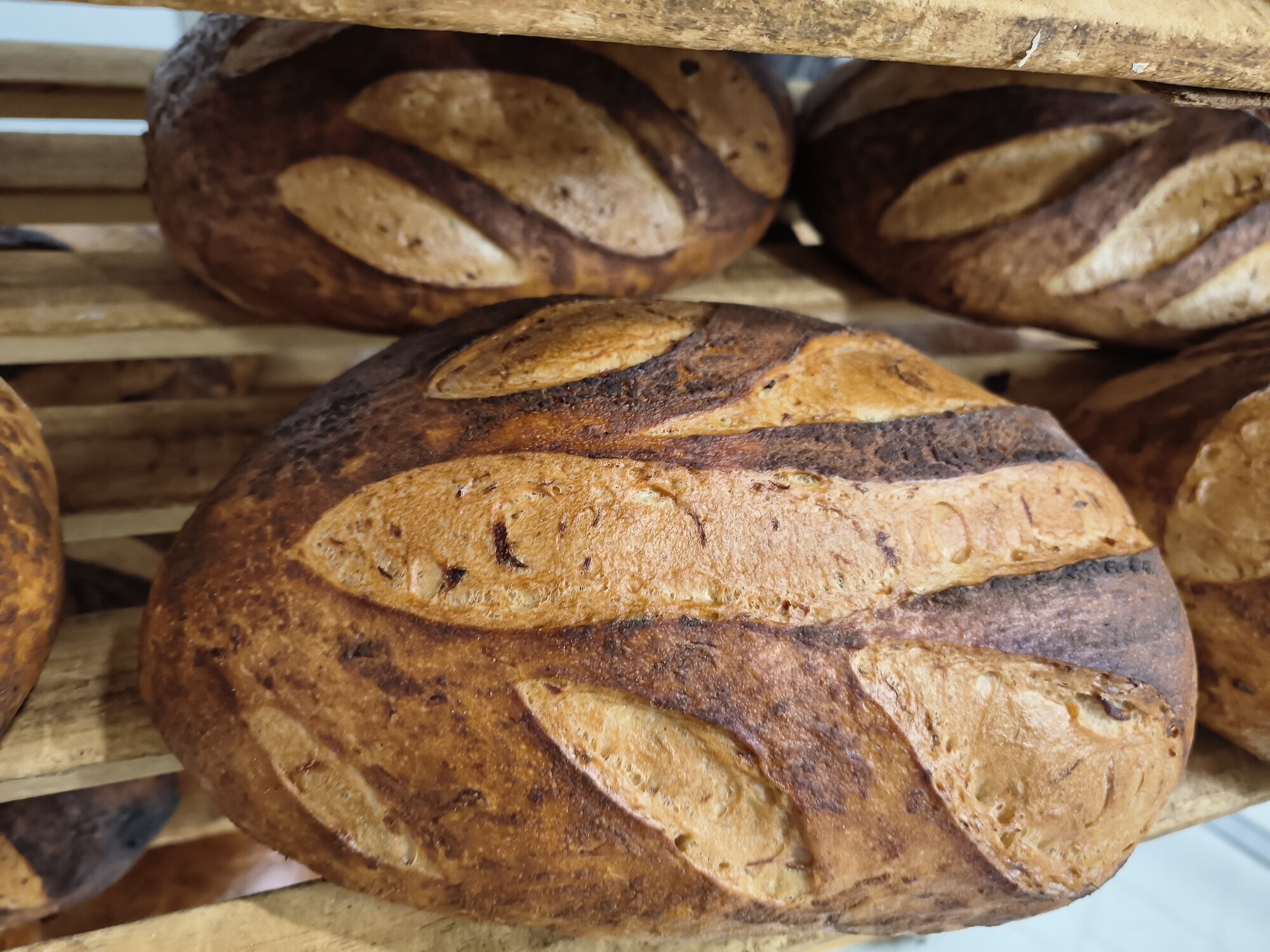 Bilder Bäckerei Tenk