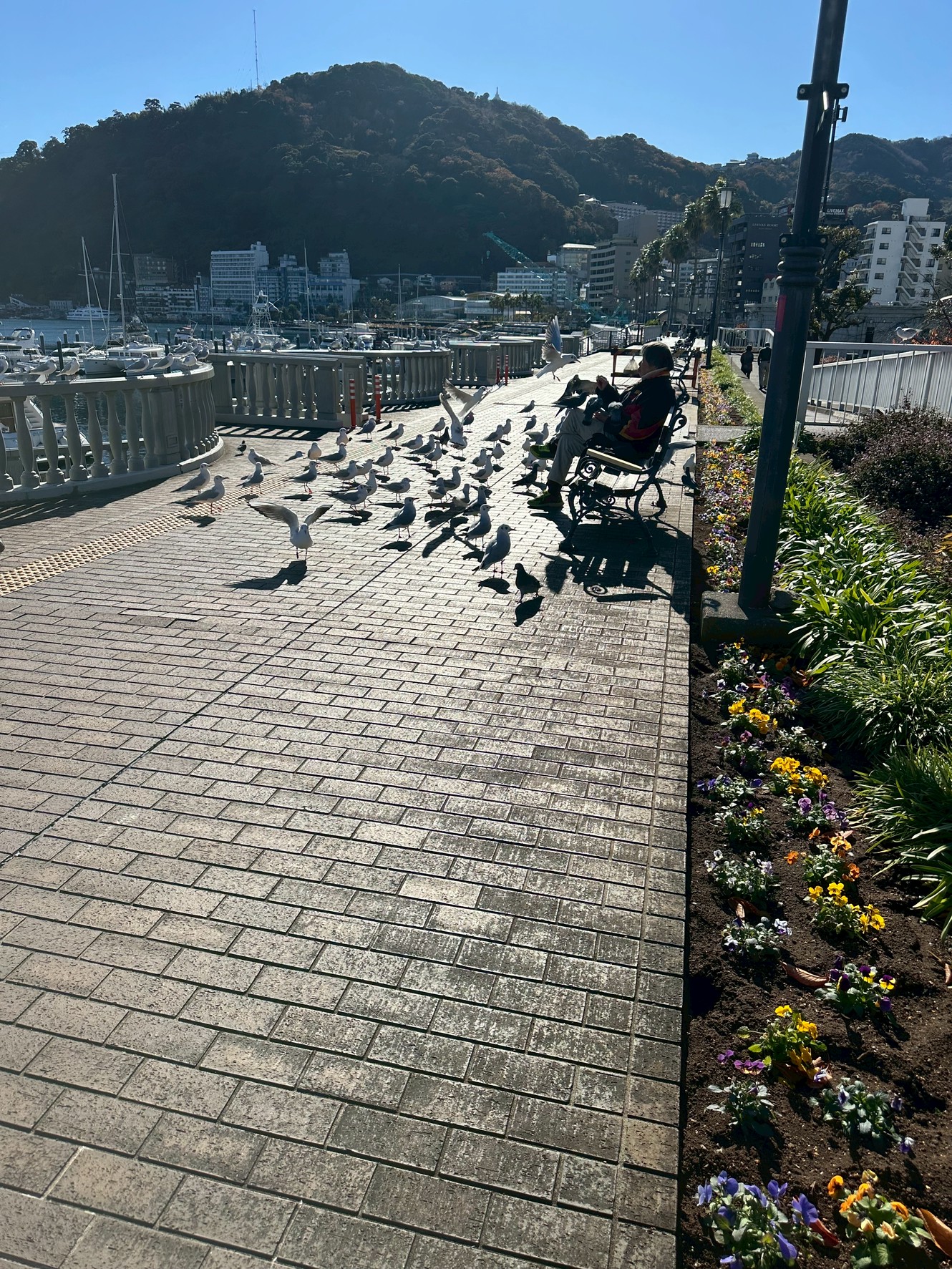 Images 熱海 天空のホテル 夢寿庵