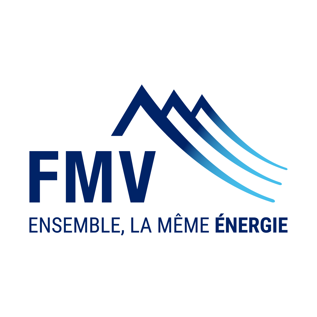 FMV SA Logo