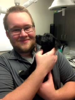 Images North Main Animal Hospital