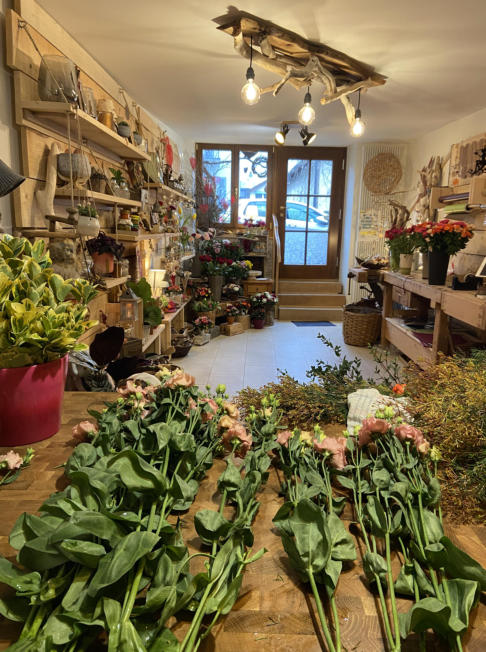 Bilder Fleurs d'Elfes