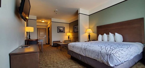 Images Best Western Plus Emory at Lake Fork Inn & Suites