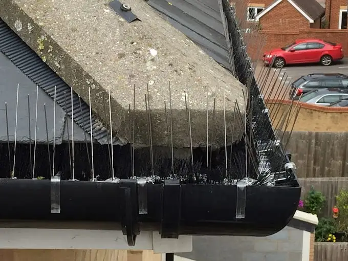 Images Guttaclean Ltd