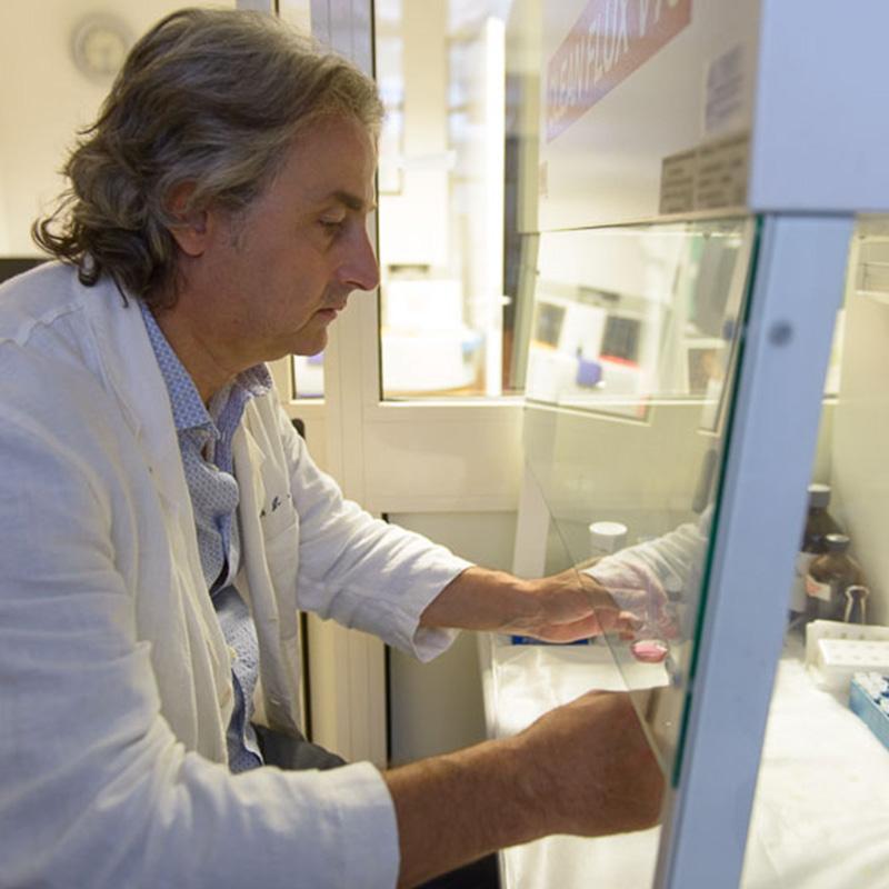 Images Alaimo Dr. Luigi Specialista in Ostetricia e Ginecologia