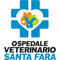 Ospedale Veterinario Santa Fara - Veterinaria - ambulatori e laboratori Bari