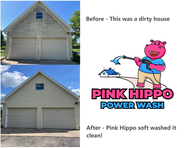Images Pink Hippo Power Wash