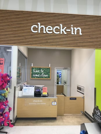 Images Petco Grooming