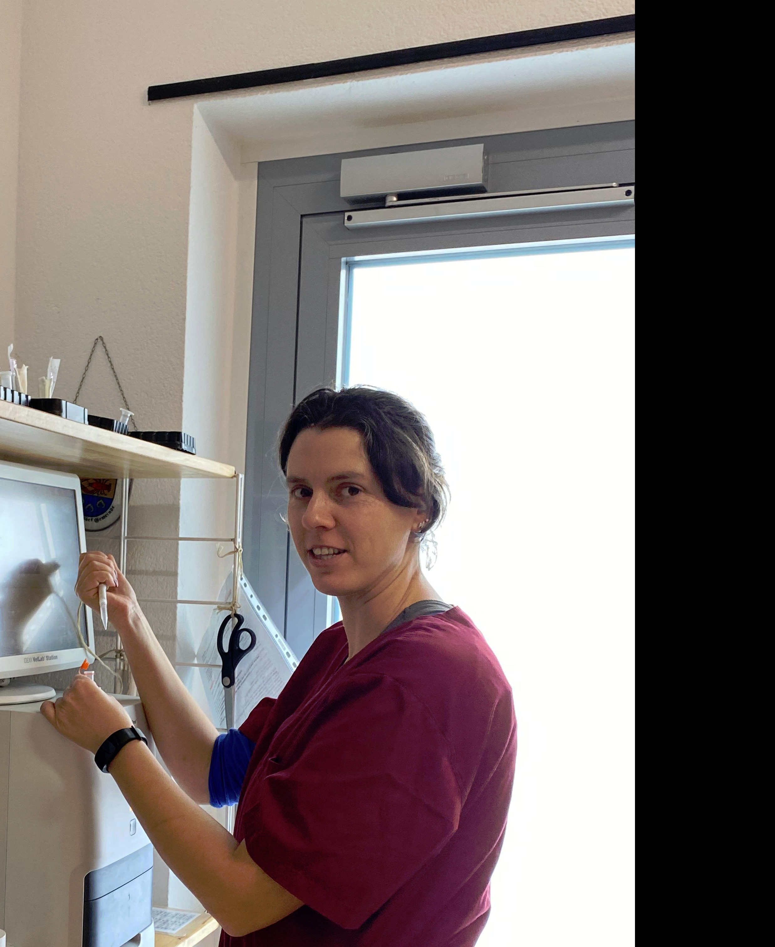 TGZ-Tiergesundheitszentrum GmbH Dr.med.vet. Birgit Dastig, Ragnitz 105 in Ragnitz