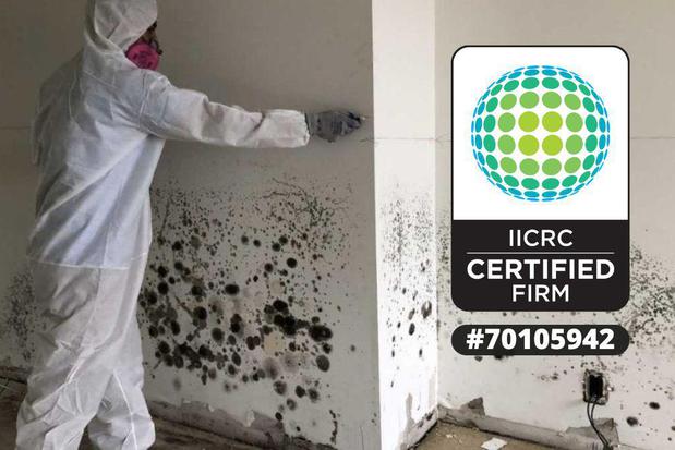 Images First Response Restoration, Water Damage Minneapolis Specialist