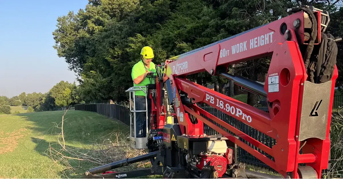 Tree Care in Edmond, OK