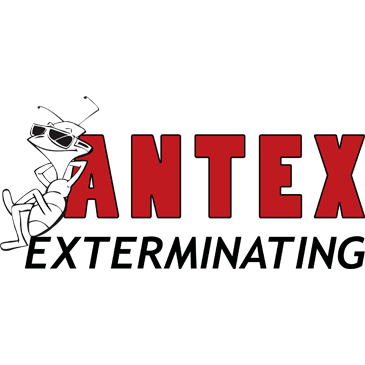 Antex Exterminating - Perris, CA - (951)207-5339 | ShowMeLocal.com