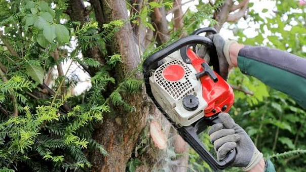 Till Steinfadt - Haus und Garten, Kakauer Weg 8 in Soltendieck