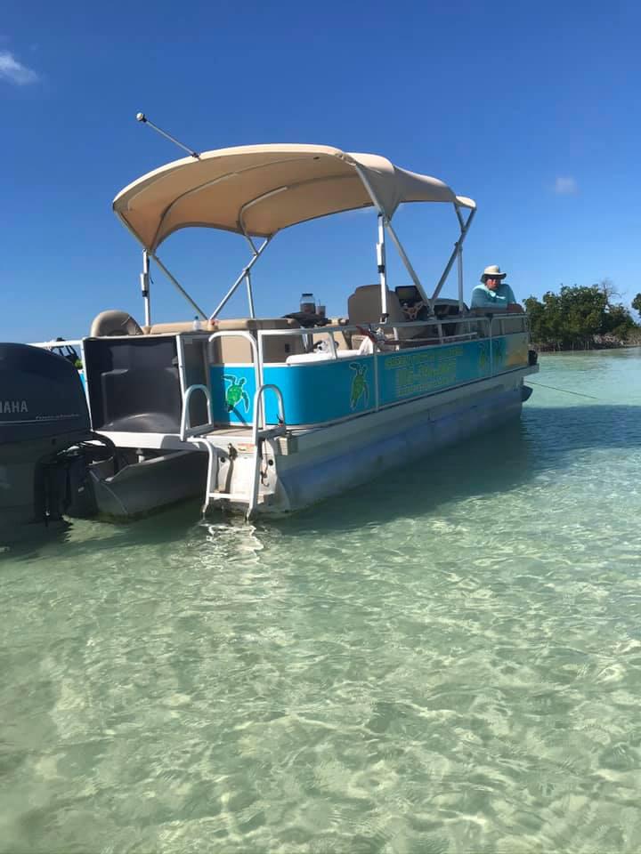 Green Turtle Charters LLC Logo