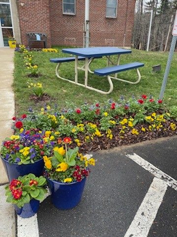 Images The Daniel Morris School