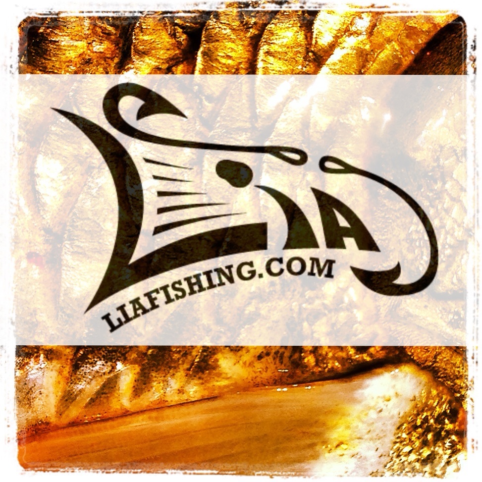 Louisiana Inshore Adventures