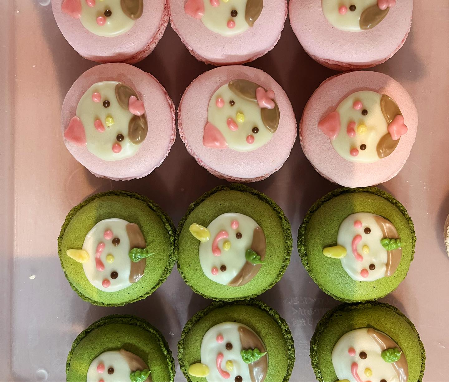 Images 一乗寺中谷