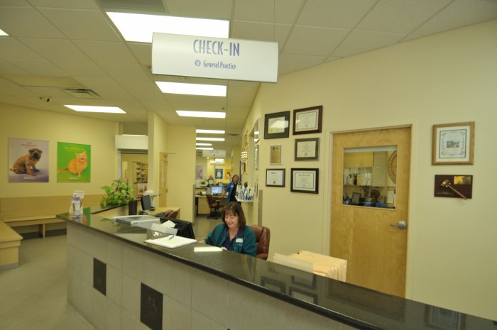 Image 7 | VCA Alameda East Veterinary Hospital