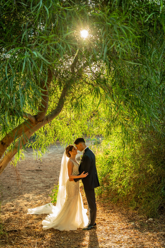 Images FotoVideo Amarcord