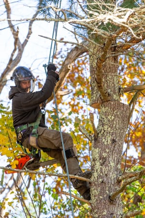 Images Charron Tree Service