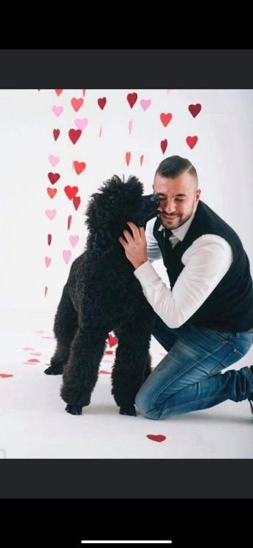 Images Pet Fashion - Toelettatura Professionale