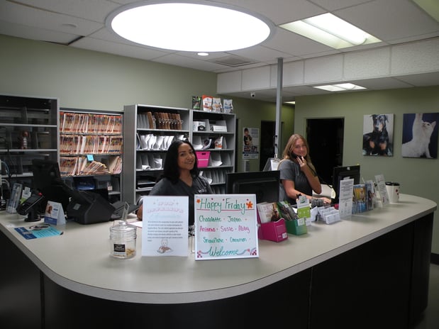 Images VCA College Park - Ana Brook Animal Hospital