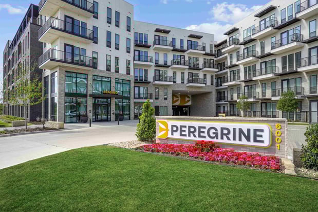 Images Peregrine