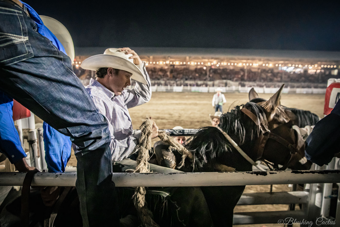 Image 8 | Prescott Frontier Days, Inc. - World's Oldest Rodeo