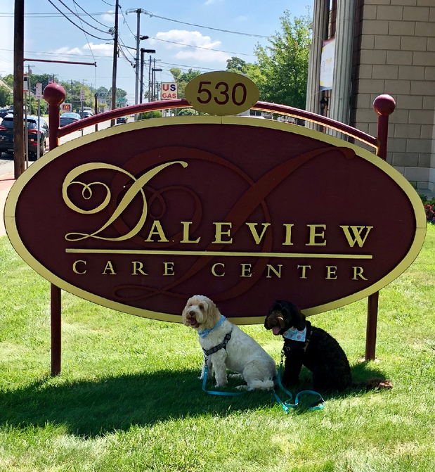 Daleview Care Center in Farmingdale, 574 Fulton St