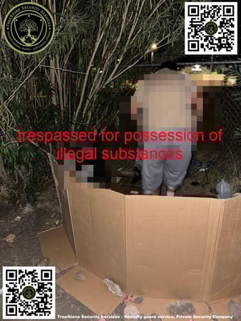 Images TreeStone Security Services