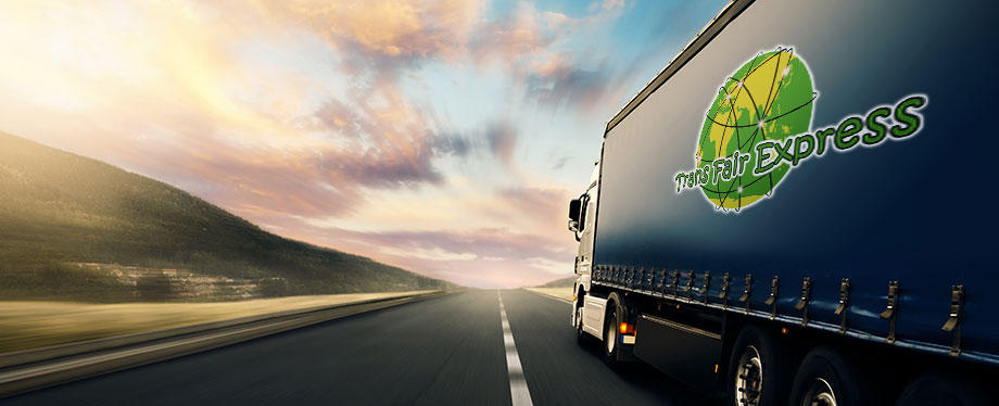 Trans Fair Express UG, Essener Strasse 74 in Gelsenkirchen