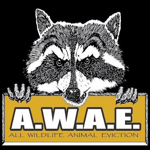 All Wildlife Animal Eviction Logo
