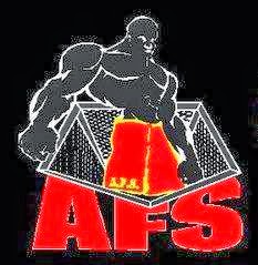 Images Aguirre's Fighting System